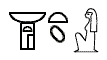 Nephtys