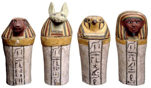 Vases canopes