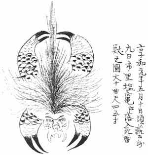 Raiju